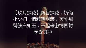 【玖月探花】新晋探花，娇俏小少妇，情趣渔网装，美乳翘臀肤白如玉，干起来激情四射享受其中