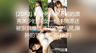 北京淑女黑丝开档2