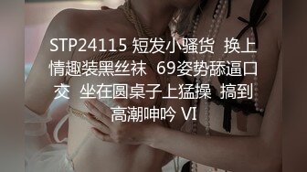 小胖哥酒店约炮刚刚离异的女同事 骚的很各种姿势操都满足不了