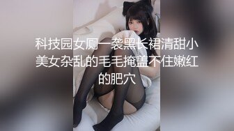 三月新流出大神潜入商场附近女厕后拍各种大屁股美女尿尿镜头放得有点近光线不够