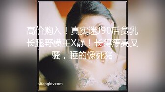 大奶美女和纹身男友在家性爱自拍