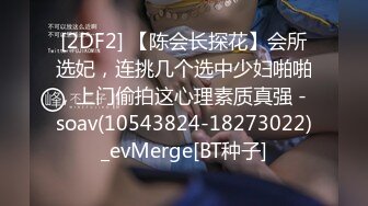 [2DF2]小区楼下勾搭上的少妇 她老公不在家 人美奶子也挺大的 [BT种子]