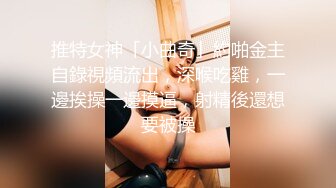 圣诞夜的失魂女神 肥乳内射