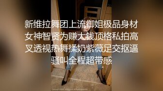 新维拉舞团上流御姐极品身材女神智贤为赚大钱顶格私拍高叉透视热舞揉奶紫薇足交抠逼骚叫全程超带感