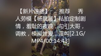 不做女神要做母狗，推特大神【L先生的后宫】明星气质极品圈养母狗日常各种被啪啪内射，淫叫声震耳欲聋的