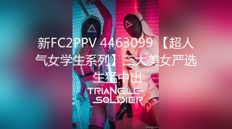 FC2-PPV-4538520 綺麗なお姉さん好き集合【高清無碼】