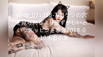 如果…「AIKA」变成这样的话…。