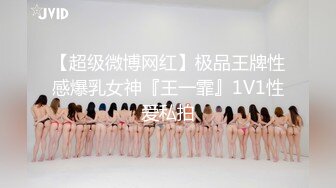 【超级微博网红】极品王牌性感爆乳女神『王一霏』1V1性爱私拍