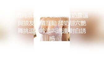 SONE-424 畢業前夕遇到巨乳小姐姐讓我爽插幹成炮友還...(AI破壞版)