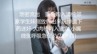 STP16625 颜值不错豹纹裙妹子开档黑丝摸逼抬腿侧入猛操