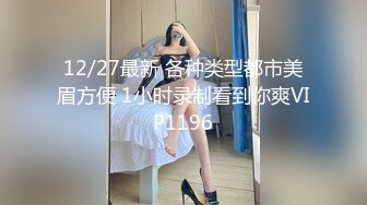 12/27最新 各种类型都市美眉方便 1小时录制看到你爽VIP1196