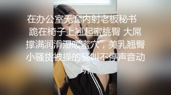 和小母狗的主人女仆体验