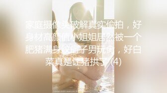 后入丰臀情趣小母狗