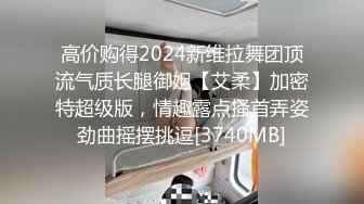 高价购得2024新维拉舞团顶流气质长腿御姐【艾柔】加密特超级版，情趣露点搔首弄姿劲曲摇摆挑逗[3740MB]