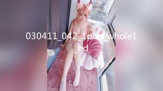 030411_042_1pon_whole1_hd