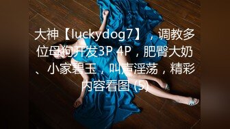 大神【luckydog7】，调教多位母狗开发3P 4P，肥臀大奶、小家碧玉，叫声淫荡，精彩内容看图 (5)