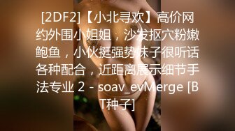 [2DF2]【小北寻欢】高价网约外围小姐姐，沙发抠穴粉嫩鲍鱼，小伙挺强势妹子很听话各种配合，近距离展示细节手法专业 2 - soav_evMerge [BT种子]