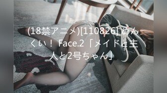 (18禁アニメ)[110826] めんくい！ Face.2「メイドと主人と2号ちゃん」