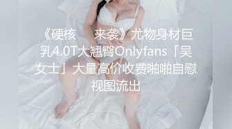 《硬核❤️来袭》尤物身材巨乳4.0T大翘臀Onlyfans「吴女士」大量高价收费啪啪自慰视图流出