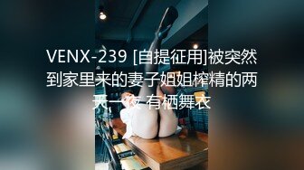 VENX-239 [自提征用]被突然到家里来的妻子姐姐榨精的两天一夜 有栖舞衣