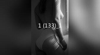 1 (133)_1