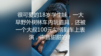 很可爱的18岁学生妹，一大早野外树林车内玩道具，还被一个大叔100元勾搭到车上表演，声音甜甜的！