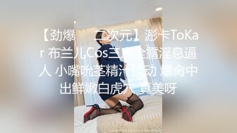 商场白色隔板女厕全景偷拍多位年轻少妇的极品美鲍5 (5)