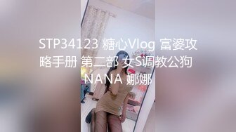 STP34123 糖心Vlog 富婆攻略手册 第二部 女S调教公狗 NANA 娜娜