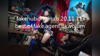 fakehuboriginals.20.11.11.best.of.fake.agent.uk.volume.2