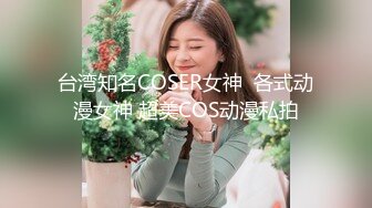 台湾知名COSER女神  各式动漫女神 超美COS动漫私拍