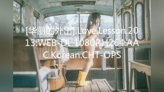 [华丽的外出].Love.Lesson.2013.WEB-DL.1080P.H264.AAC.Korean.CHT-OPS