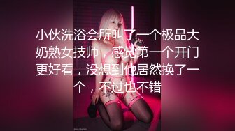 W 中的女主人。 威胁的套房房间客舱乘务员VDD-100