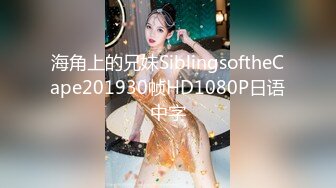 FC2 PPV 4012848 ZIP特典有【無】セクシー下着姿でハメ撮り スレンダー 地下アイドルひな 20歳に着衣で中出し 12作品目【サカイ】