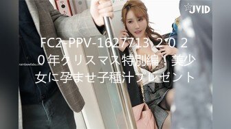 FC2-PPV-1627713 ２０２０年クリスマス特別編！美少女に孕ませ子種汁プレゼント