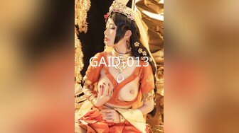 GAID-013