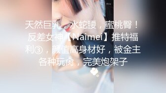 天然巨乳，水蛇腰，蜜桃臀！反差女神【Naimei】推特福利③，颜值高身材好，被金主各种玩肏，完美炮架子