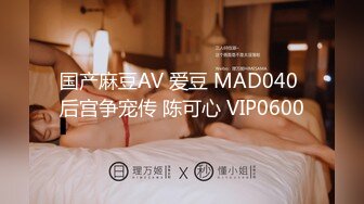 国产麻豆AV 爱豆 MAD040 后宫争宠传 陈可心 VIP0600